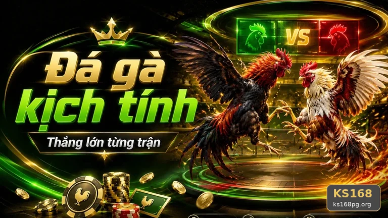 Hướng Dẫn Người Mới Kiểm Tra Giao Diện Đá Gà Trực Tuyến Và Quản Lý Phiên Chơi Trên Ứng Dụng Di Động KS168 Tại ks168pg.org